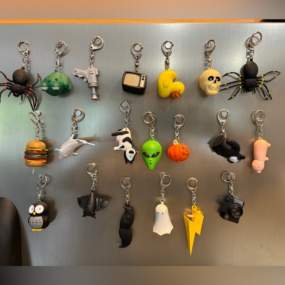 19 keychains - selling all together for one price.